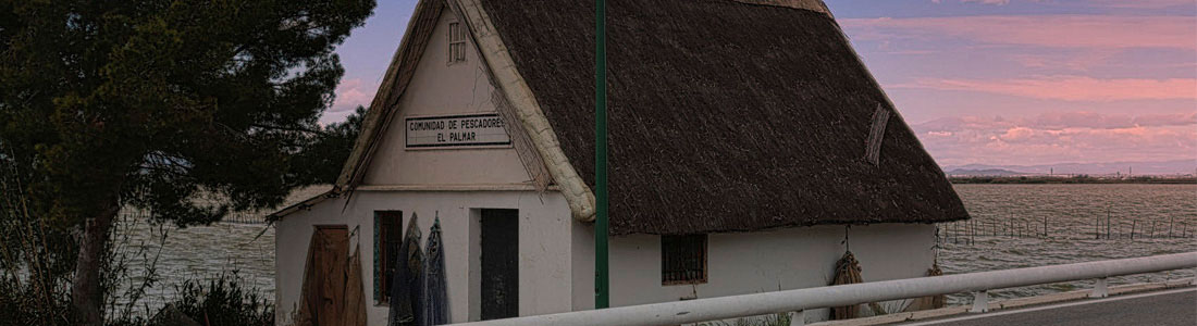 Disfuta de la naturaleza