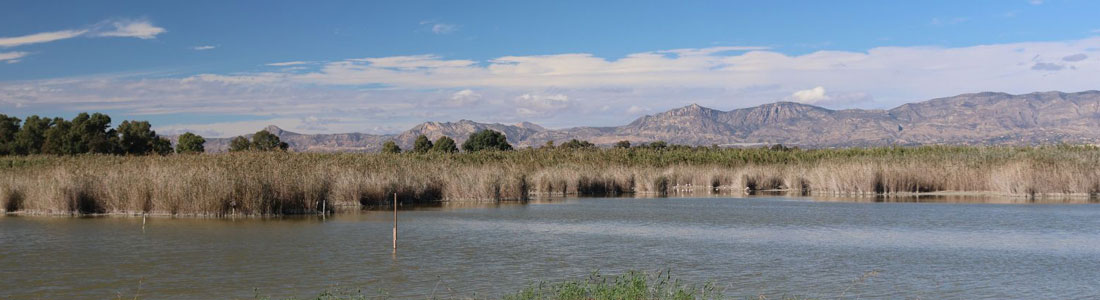 Disfuta de la naturaleza