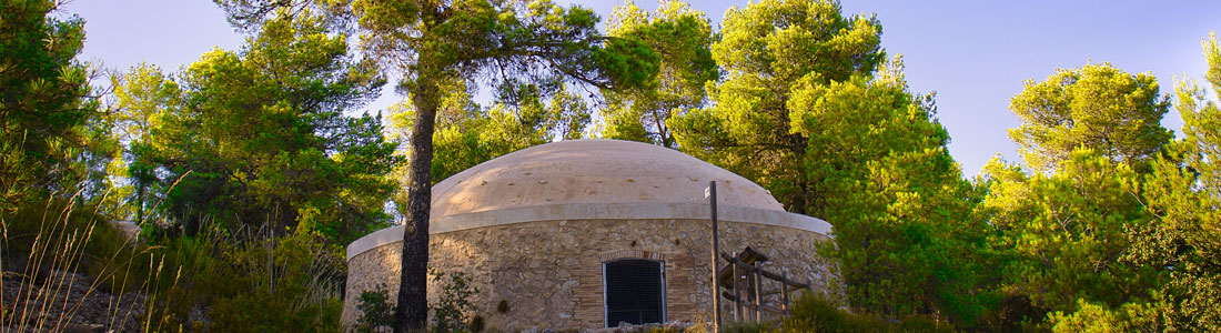 Disfuta de la naturaleza